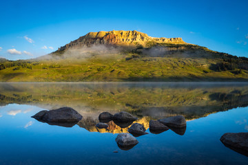 调料盒价格一般是多少