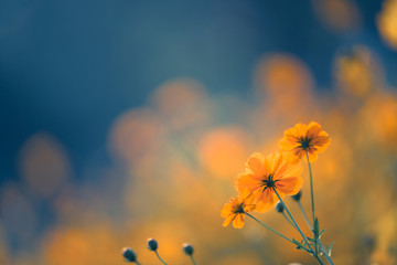 乒乓球单人赛有谁打