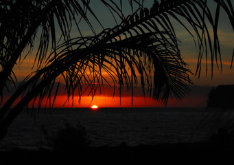 乒乓球单人赛有谁打