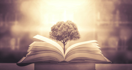 乒乓球世锦赛赛程