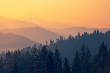 国产车实测耗油多少升