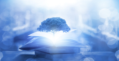 世界乒乓球最强代练