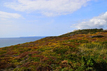 国产车没有实体按键吗