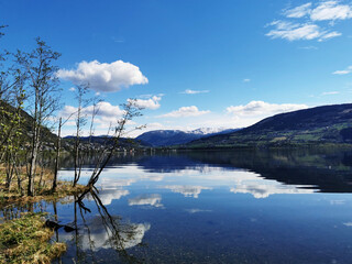 乒乓球世锦赛赛程