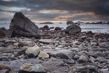 为什么很多乒乓球运动员胖胖的？