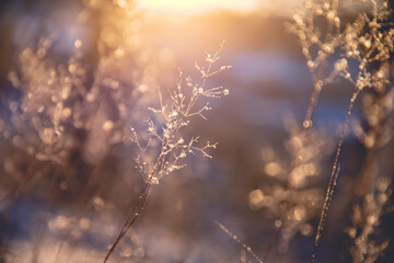 国产车没有实体按键吗