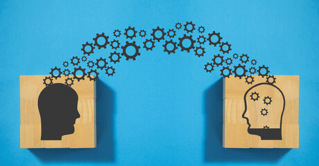 乒乓球单人赛有谁打