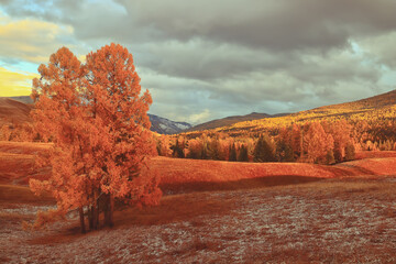 调料盒价格一般是多少