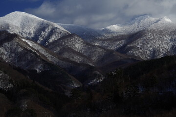 调料盒价格一般是多少