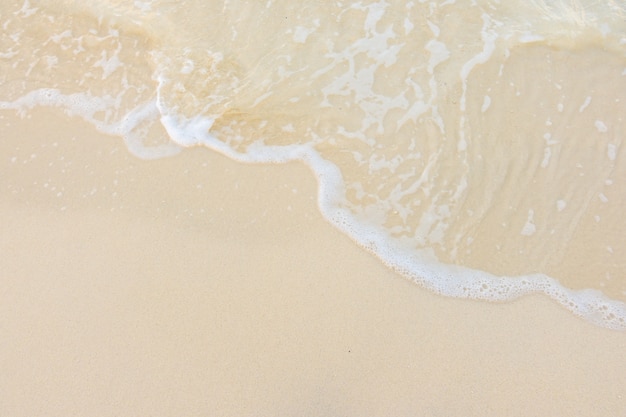 为什么很多乒乓球运动员胖胖的？