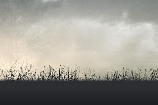 乒乓球单人赛有谁打