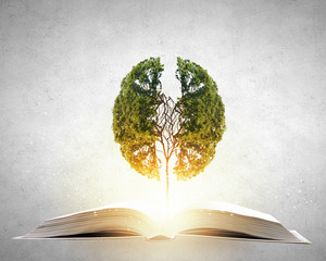 国产车低配版捷达