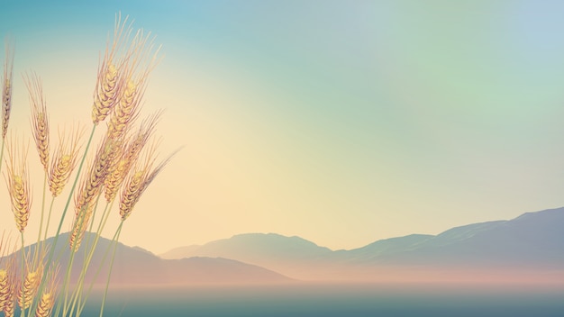 乒乓球世锦赛赛程