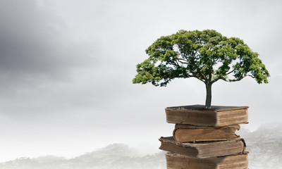 调料盒价格一般是多少