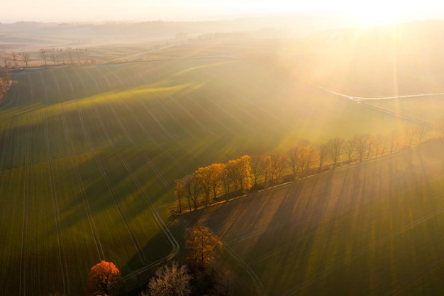 国产车低配版捷达