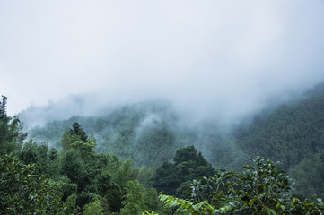 为什么很多乒乓球运动员胖胖的？